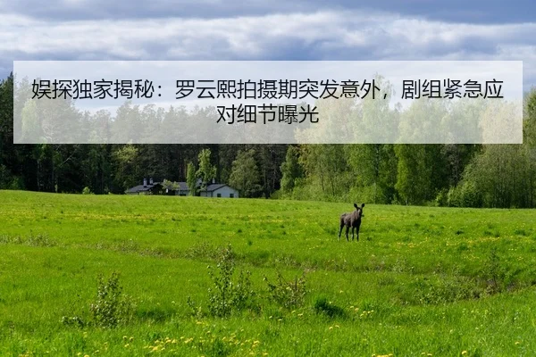 yu-tan-du-jia-jie-mi-luo-yun-xi-pai-she-qi-tu-fa-yi-wai-ju-zu-jin-ji-ying-dui-xi-jie-bao-guang-2-501.jpg